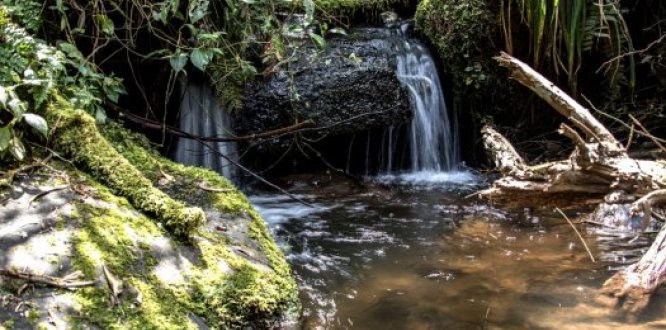 quebrada La Vieja quebrada La Vieja