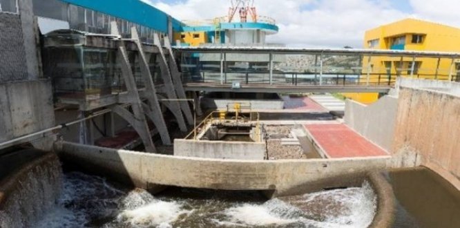 planta el Dorado planta el Dorado