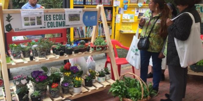 Entre Nubes Entre Nubes