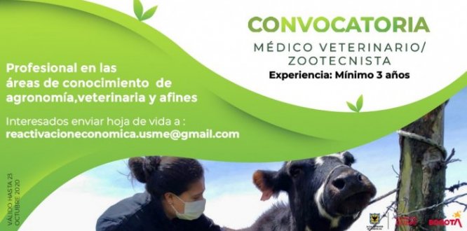 VETERINARIO CONVOCATORIA