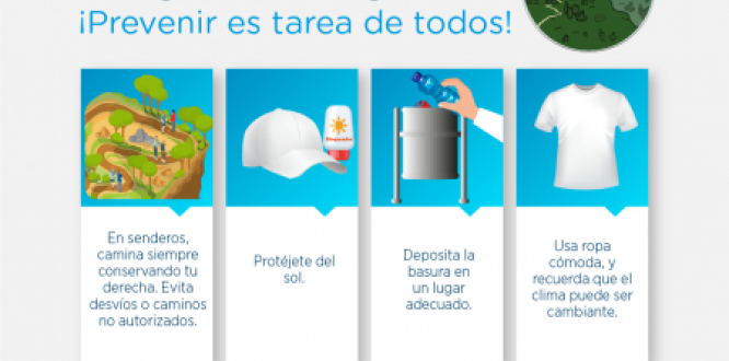 gestión del riesgo gestión del riesgo