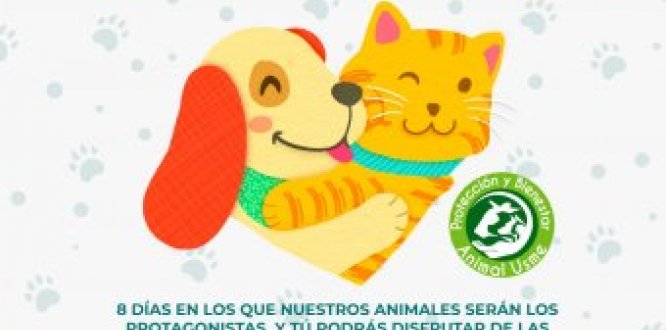 Foto banner con imagen de perrito Semana de protección y bienestar animal Usme