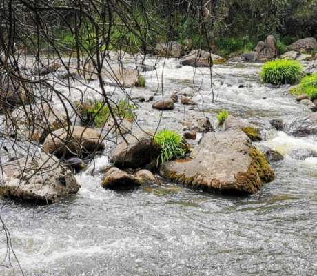 Río Tunjuelito - Fuente Alcaldía Local