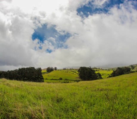 Cementerio Indígena de Usme - Hallazgo Arqueológico