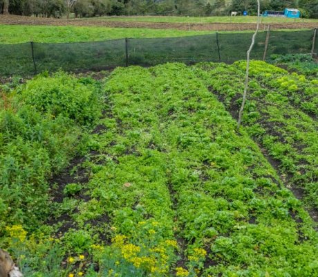 Granja Temática La Dorada