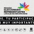 eleccionario de representantes a los Consejos Locales de Discapacidad