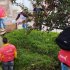 Recuperación de la Vereda La Taza